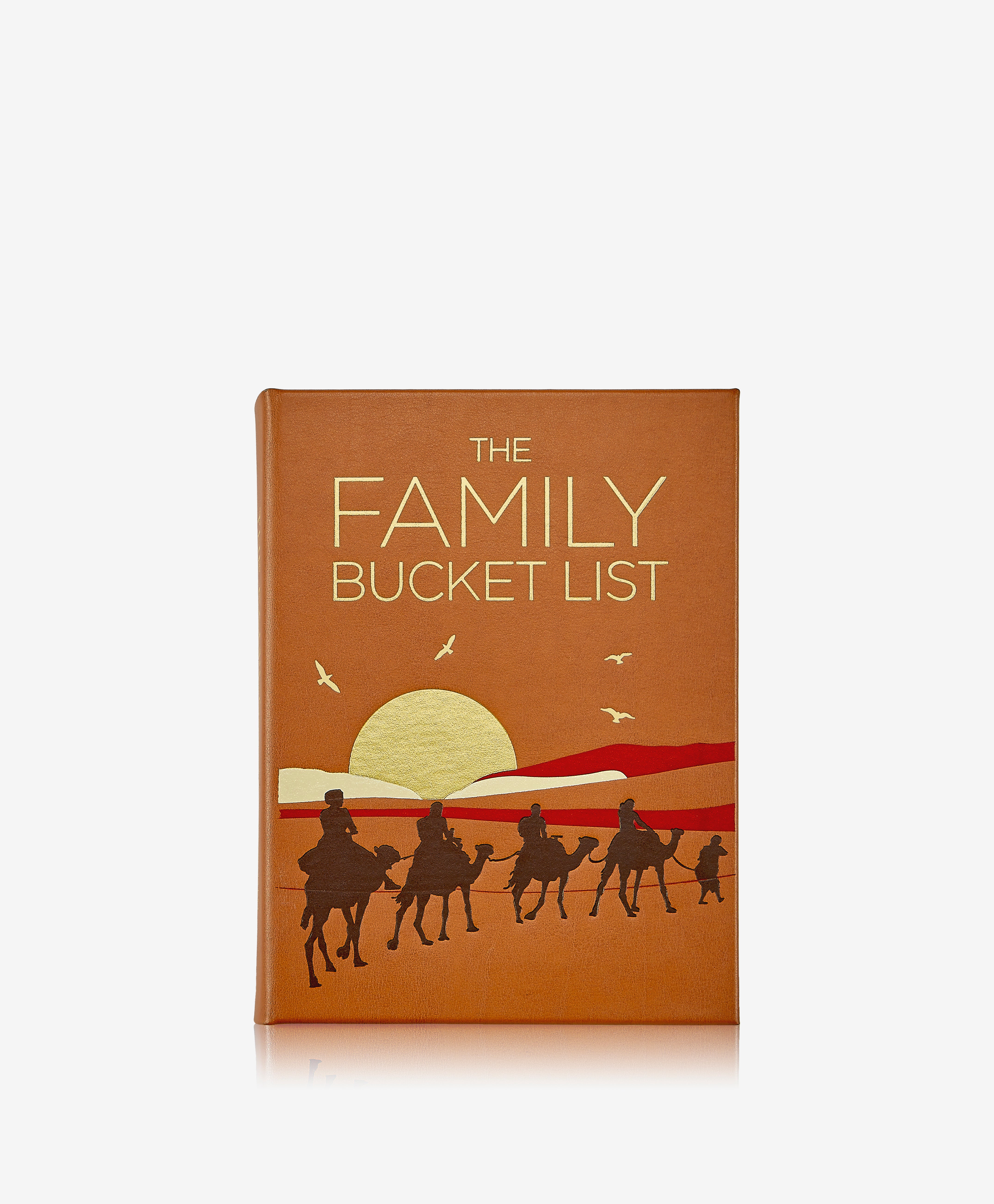 The Family Bucket List