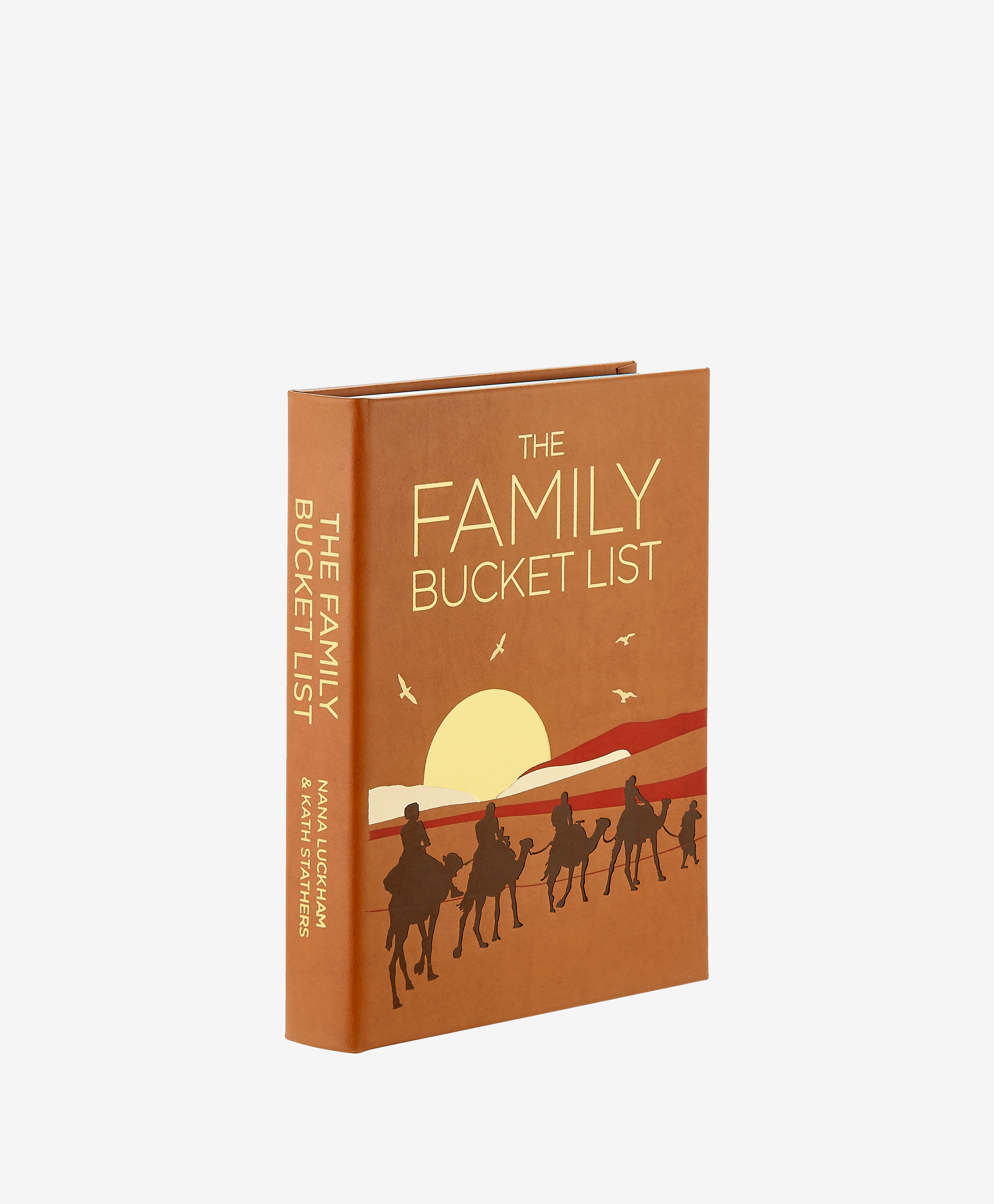 The Family Bucket List