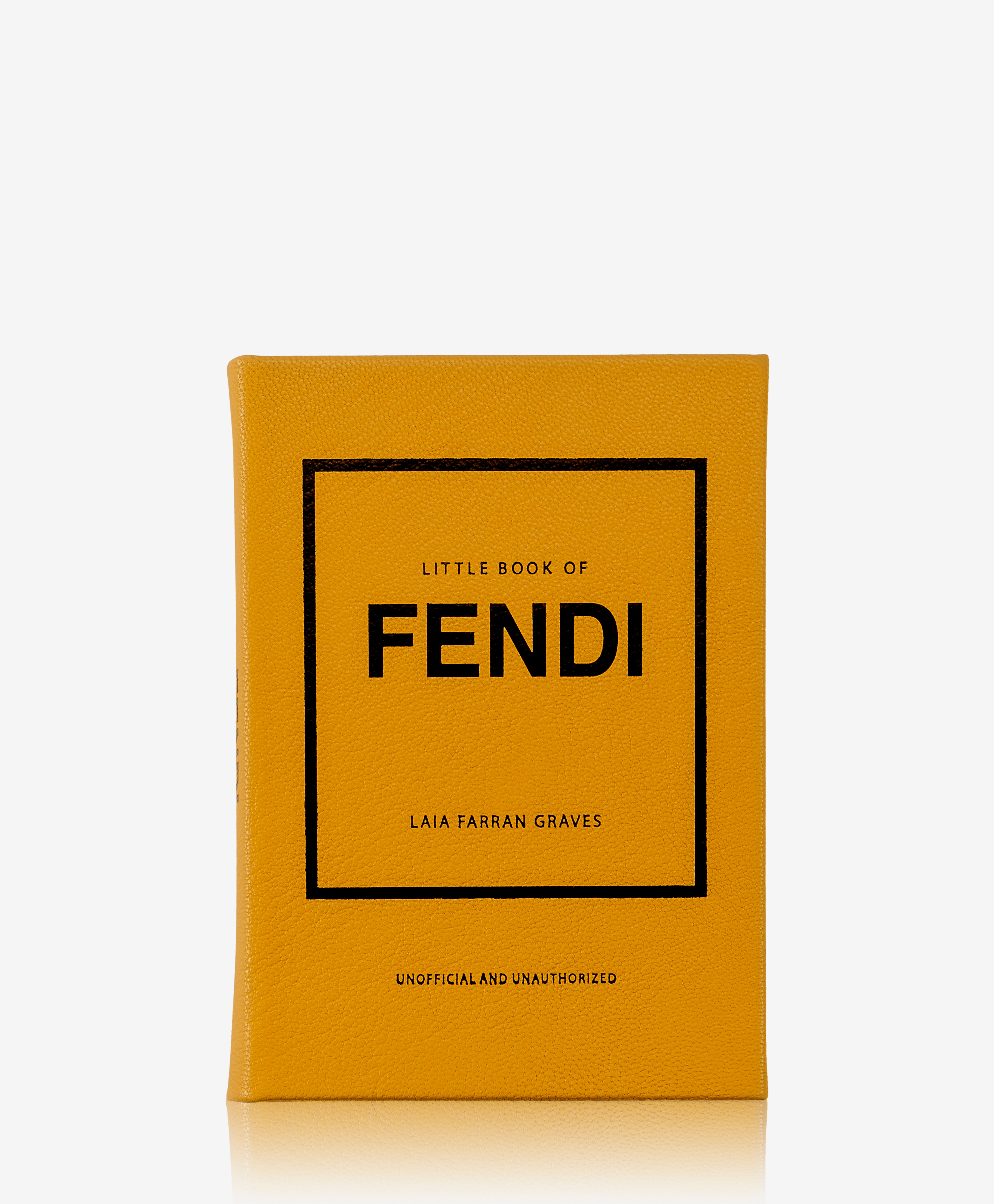 Little Book of Fendi